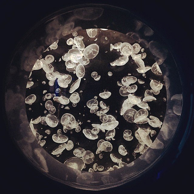 National Aquarium. 