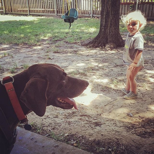 A boy, a dog, a swing, and dirt. 