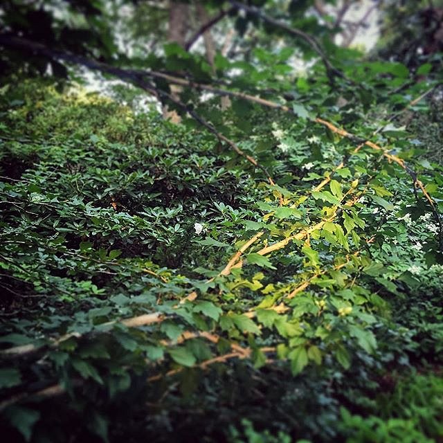 First morning light. 