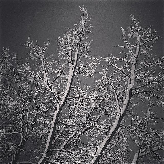 #snow #hadtodoit #night #indiana #elkhart #usa #enroutetomn #letitsnow #winter