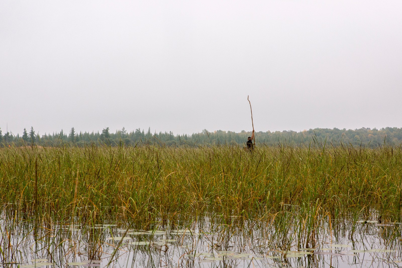 RedLake-6568.jpg