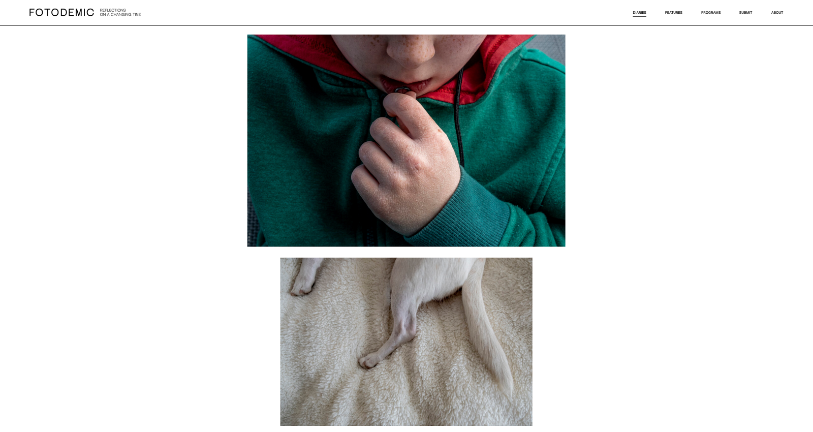 Fotodemic