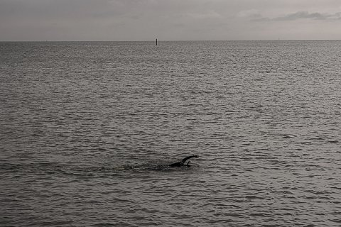 A person swims in the water off Higgs Beach in Key West, Florida. This was a surprisingly quiet and solitary moment in a popular destination.