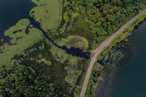 A dirt road passes between two lakes in northern Minnesota. Though Minnesota is known as the "land of 10,000 lakes," there are actually 11,842 lakes in the state. 