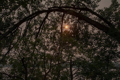 A sun muted by the smoke of wildfires peeks through trees in northern Minnesota.